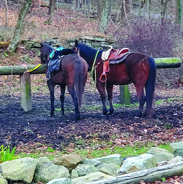 bring your horses Woodstock Inn