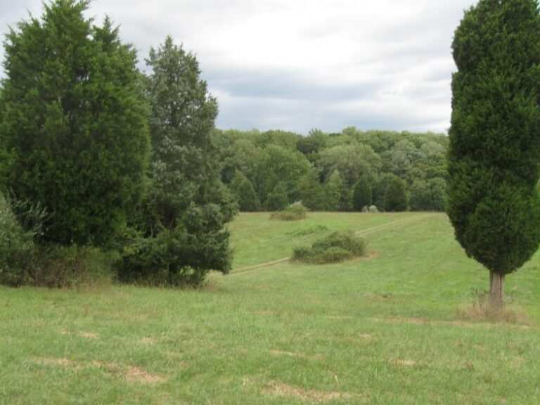 fair hill meadow 768x576