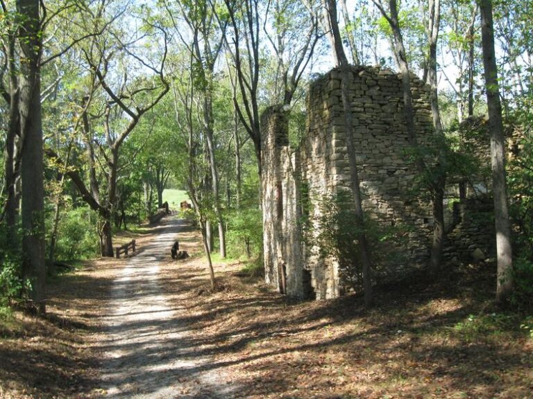 fair hill trail 768x576