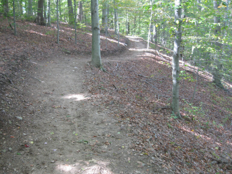 fair hill wooded trail 768x576