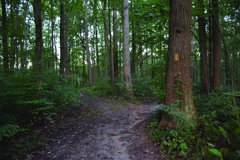 Gunpowder Falls State Park Sweet Air Area Horse Trail